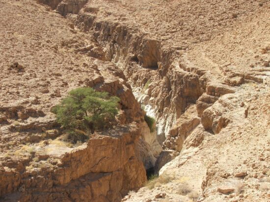 מסלולי טיול בנחל רחף ונחל משמר