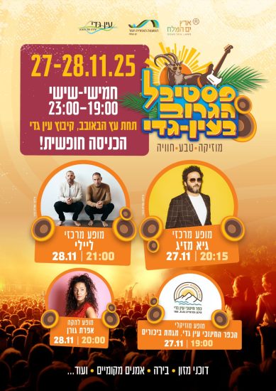 פסטיבל הגרוב 2025