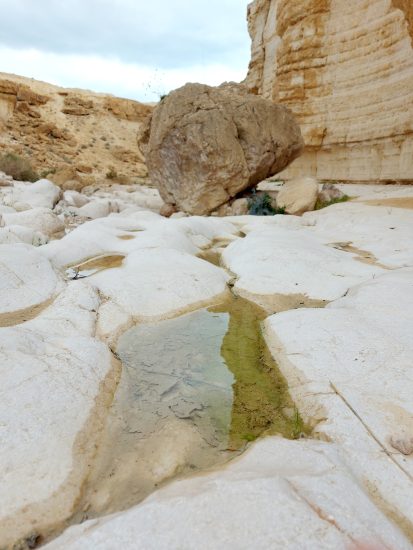 יום כיף לכל המשפחה בלב ים המלח גב מים