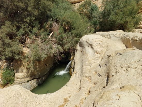 נחל ערוגות