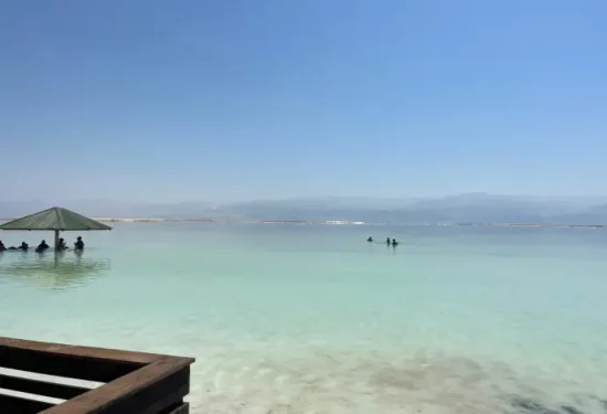 ים המלח פלד ארבלי