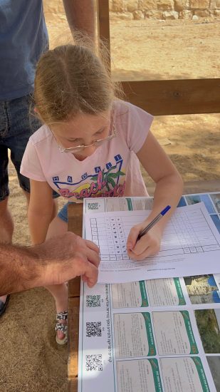 משחק ניווט אוצר התמר