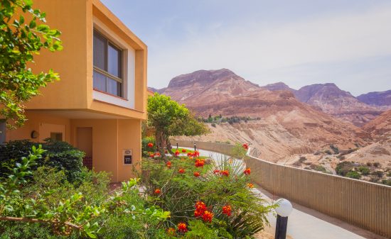 מלון עין גדי