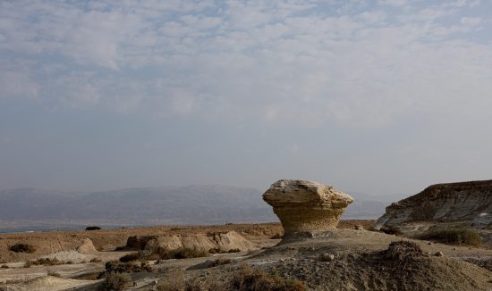 מסלול הפטרייה