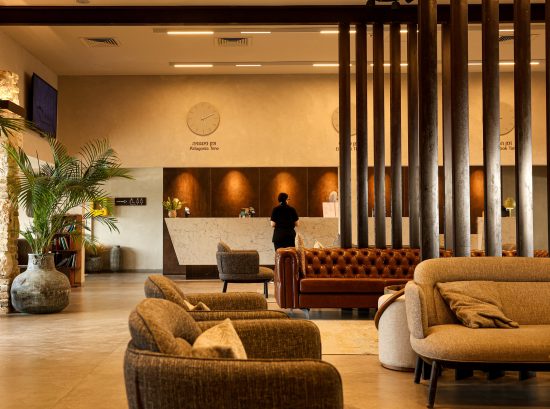 מלון עין גדי